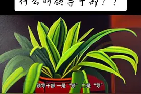 什么叫领导干部？？#认知思维图片