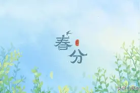 春分之后，虚火上升，常喝4道汤不上火图片