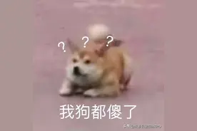 【组工讲堂】公务员政审环节“审”什么，你知道吗？图片