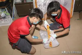 新房搬家仪式怎么庆祝？喜迁新居需要准备什么？这2点你一定要看图片