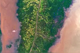 中国唯一没有山的城市，却拥有江苏唯一的世界自然遗产图片