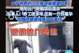 婆婆砍死3条宠物狗后续：婆婆已搬家，儿媳妇为了压惊又买一条狗图片