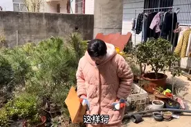 女子睡衣里偷穿黑丝袜出门，丈夫发现后怒撕丝袜，直呼：太气人图片