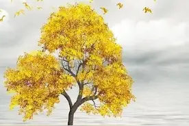 洪荒十大先天本源神树图片