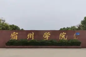 升本更迟！为什么安徽宁愿支持宿院也不支持淮师和巢院？图片