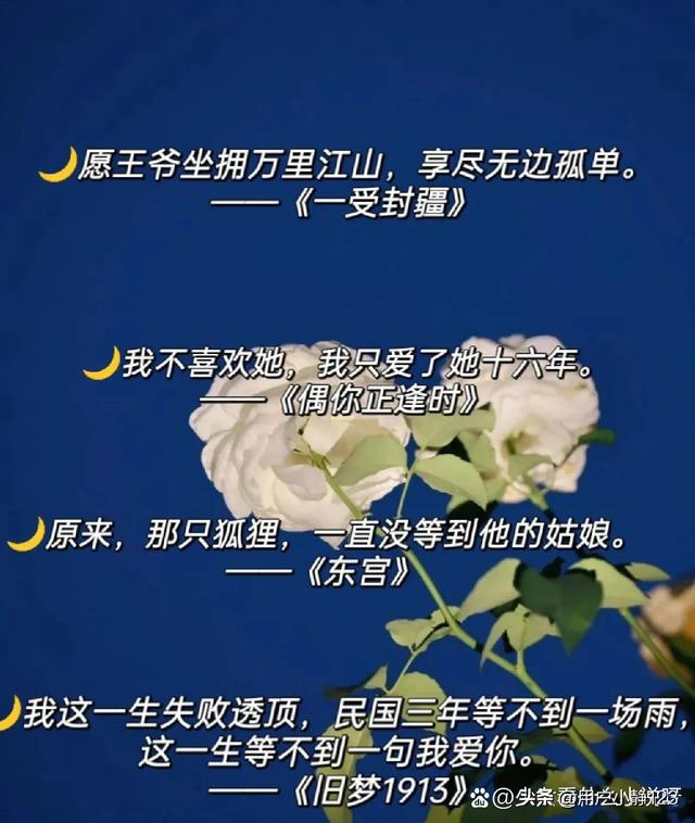 小说里把你虐哭的句子，句句都是遗憾！！