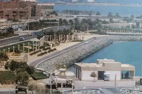 萨达姆对科威特干的那些恶心事图片