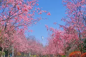 赏花、踏青、露营……呈贡这些地方，你一定要来走走图片