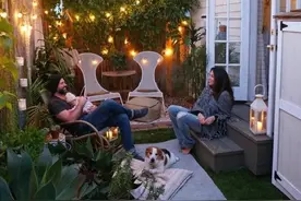 最好的后院植物种植保护隐私图片