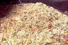剩饭剩菜喂鸡鸭，用微生物发酵技术变废为宝，一只鸡鸭多盈利10元图片