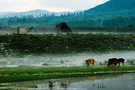 感恩新疆的岳父：（1）童年苦难，无奈投奔新疆图片