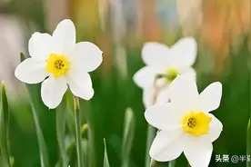 岳母给外孙1万红包，只给亲孙1千，女婿动怒：每月4千扶贫费断了图片