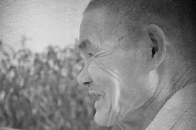 一辈子不吸烟、不喝酒的人，会不会寿命更长？来看看调查数据图片