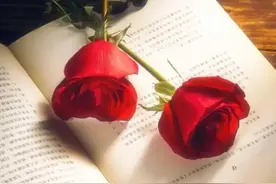 一个女人是命好还是命苦，看她的“脸”就知道了图片