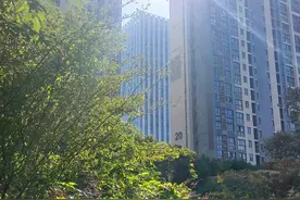 失眠与肠菌异常有关 那失眠与臭屁有吗？图片