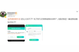 英雄联盟手游识别系统出错，体验不佳，退游玩家越来越多图片