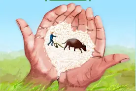 专项答题 | 世界粮食日，让我们一起爱粮节粮图片