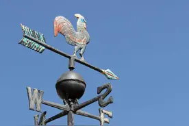 铁公鸡，一毛不拔图片