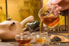 冰岛普洱茶的十大品种，你知道几个？图片