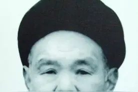 为振兴陈氏太极拳，陈照丕辞职回乡当农民教拳，他最终振兴了吗图片