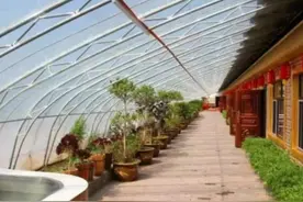 新农村的“高温大棚式房屋”，冬暖夏凉，瓜果飘香，节能环保图片