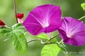 七言诗 戏说人生图片