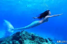 秦始皇射杀过美人鱼吗？他只是射死过鲸鱼！萨沙问答第163集图片