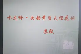 苏轼 水龙吟 似花还似非花的写作背景图片