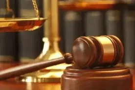 提级管辖、再审提审指导意见理解与适用图片