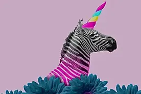 未上市的242家中国独角兽，有人只差一步，有人再无可能图片