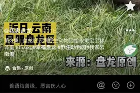 350个作品播放破百万！2022年，“我家盘龙”抖音号流量密码→图片