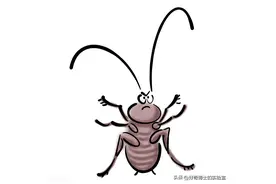 家里这些不起眼的小颗粒，其实都是虫卵图片