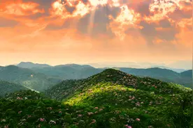 红色文化推广季 | 全民同唱《映山红》！抖音赛等您来挑战！图片