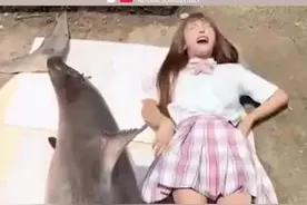 网红煮食“噬人鲨”被逮捕！国家重点保护水生野生动物有哪些？图片