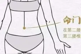 两肾中间命门是人身的太极，水火在这里生长蕴藏元阴元阳真精真气图片