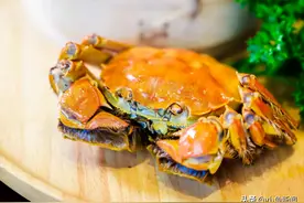 大闸蟹竟然减肥友好！但这4种千万别吃图片