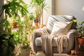 黄豆水，淘米水都得靠边站，它才是养花“万能肥水”，养啥都爆盆图片