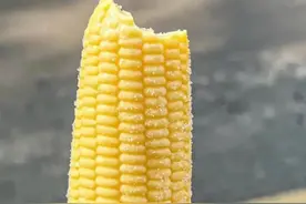 冒着热气的夏天，那些值得装进冰箱的雪糕，好吃又解暑图片