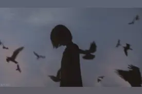 掩盖不了的事实图片