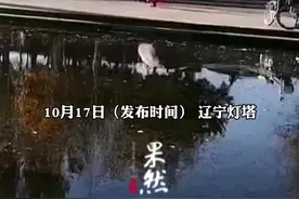 大妈河边跳舞转圈太投入，不小心把自己转晕了掉进河里图片