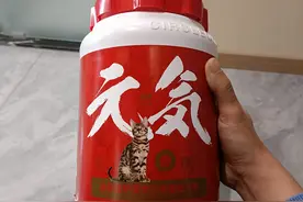 让猫猫多喝水太重要了图片