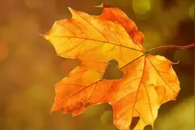 女人在你面前有这些小动作，就是喜欢的信号，别不懂图片