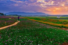 在视觉上，不同的色彩组合是如何让人产生不同的情绪心理？图片
