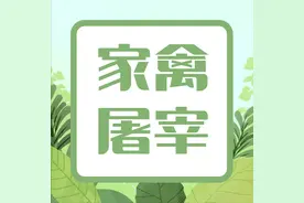 畜牧业人须知！家禽屠宰检疫规程图片