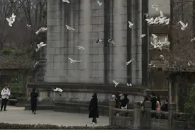 你不知道的南京——中山陵、音乐台图片