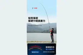 6H19钓鱼竿新手钓鱼人玩台钓看这里图片