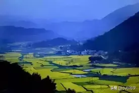 农村真实情感故事：孽缘（七）图片