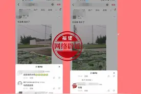 网传“长豆角泡药水有毒”？真相来了图片