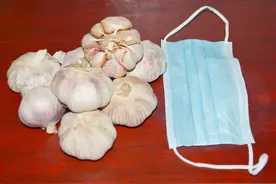 冬天保存大蒜，不要直接放地上了，加1个口罩，放一年不干瘪发芽图片