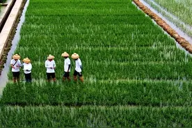 人才供不应求！这个“小众”专业，热起来了！图片